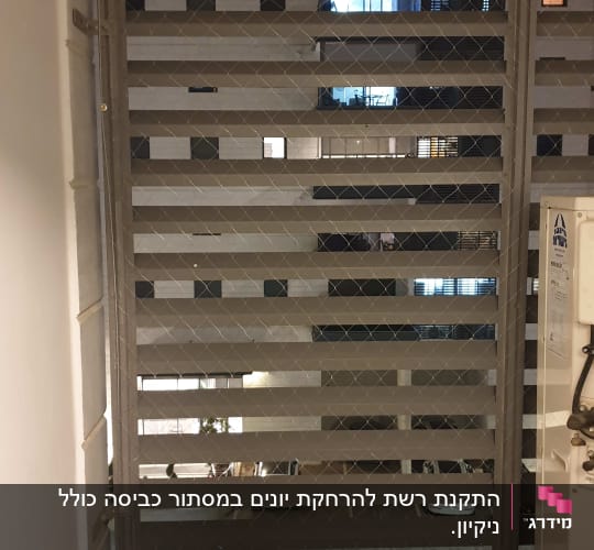 רשת מתכת על חלון למניעת כניסת יונים